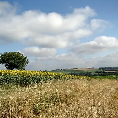 Des Marronniers 3*